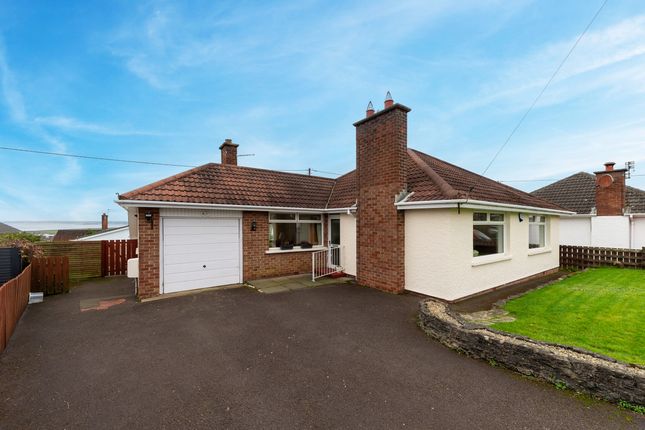 10 Dorrandale Road, Newtownards photo 5