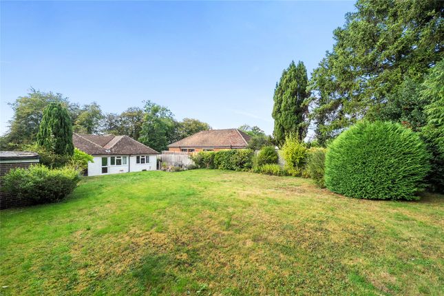 Lockspound,, Ricketts Hill Road, Westerham photo 4