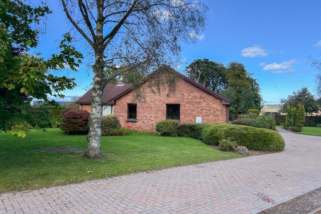 Thumbnail Detached bungalow for sale in West Drive, Berwick-Upon-Tweed