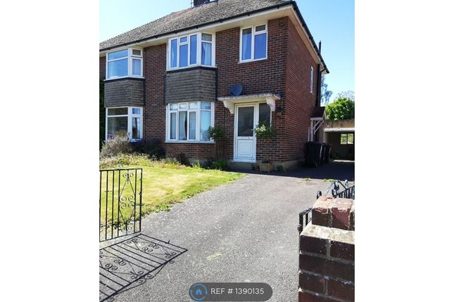 Thumbnail Semi-detached house to rent in Hillside Avenue, Caterbury