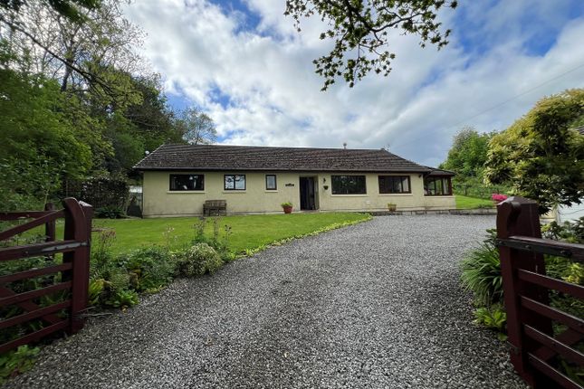 Thumbnail Bungalow for sale in Capel Isaac, Llandeilo