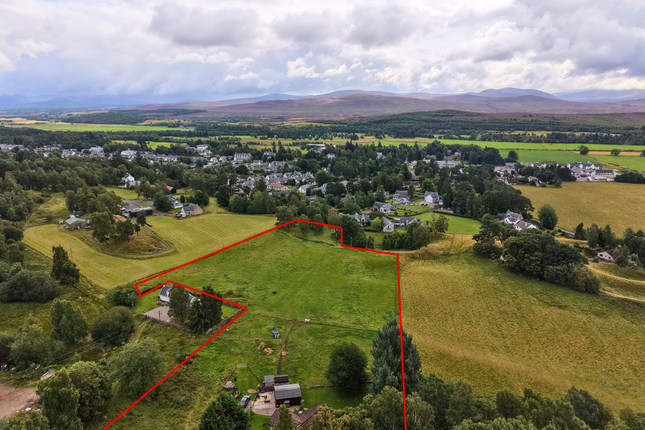 Toran Bhuie, Toran Bhuie, Newtonmore photo 2