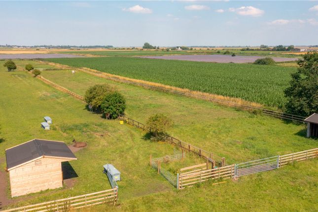 Paddocks