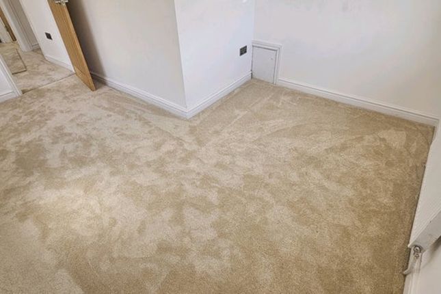 A Well-Maintained Hallway Featuring Plush Carpetin...