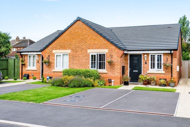 Thumbnail Semi-detached bungalow to rent in Folly View Grove, Burscough, Ormskirk
