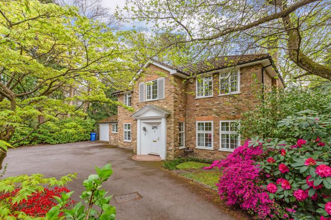 Detached house for sale in Hamilton Drive, Ascot