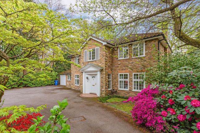 Thumbnail Detached house for sale in Hamilton Drive, Ascot