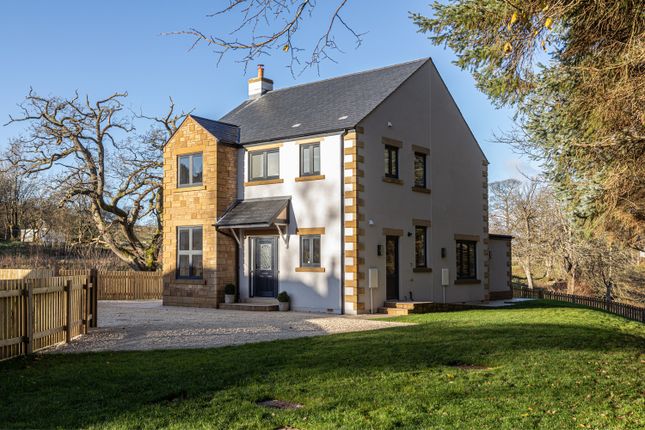 Thumbnail Detached house for sale in Forest Drive, Brampton Road, Alston, Cumbria