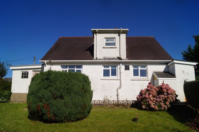 Eirianfa, Coedybryn, Llandysul photo 2