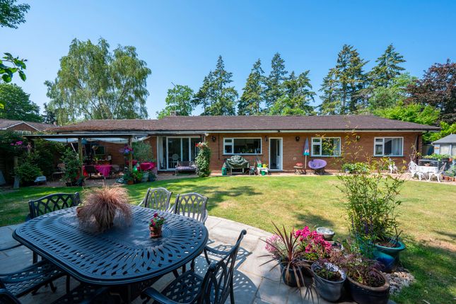 Thumbnail Bungalow for sale in The Garth, Cobham