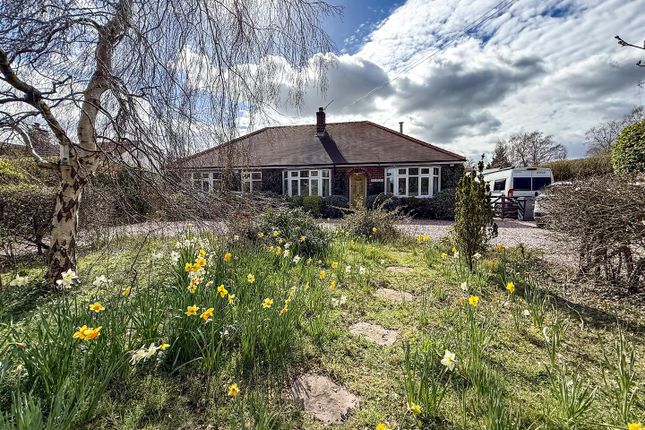Holmlea, Holmes Chapel Road, Congleton photo 4
