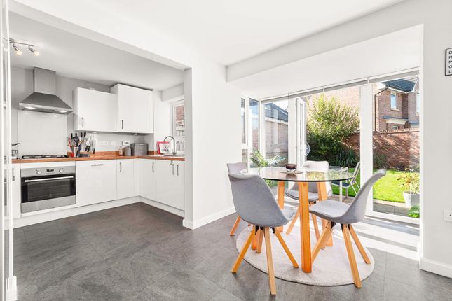 42 Nightingale Avenue, Warwick photo 4