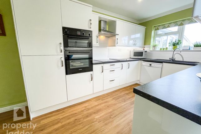 91, Chestnut Avenue, Norwich photo 4