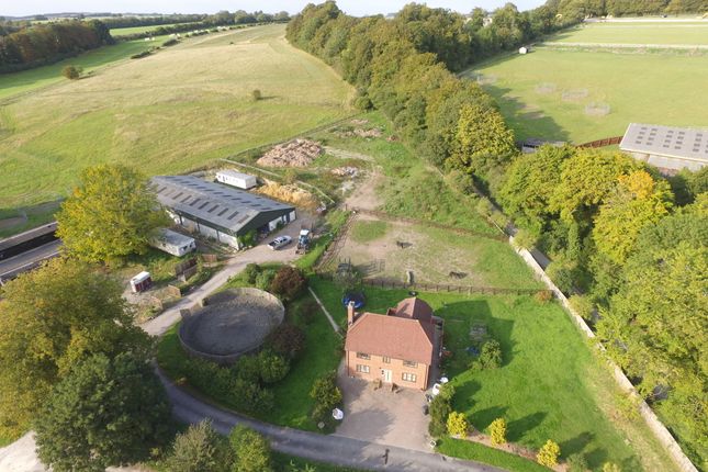 Upper Lambourn Hungerford Rg17 4 Bedroom Equestrian Property For Sale 56146451 Primelocation