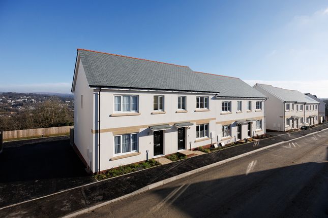 Cp_Thetorsstreets_Jan2560 Edit