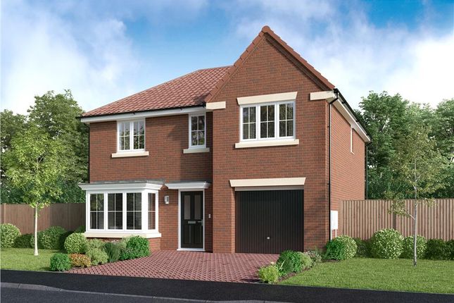 Thumbnail Detached house for sale in "The Maplewood" at Off Trunk Road (A1085), Middlesbrough, Cleveland