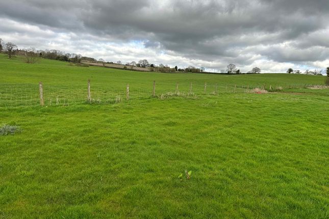 Land to rent in Sandy Cross Farm, Edvin Loach, Bromyard
