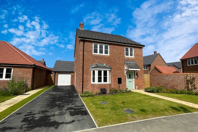Thumbnail Detached house for sale in Boten Drive, Elmswell, Bury St. Edmunds
