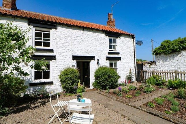 Thumbnail Semi-detached house to rent in The Green, Piercebridge, Darlington