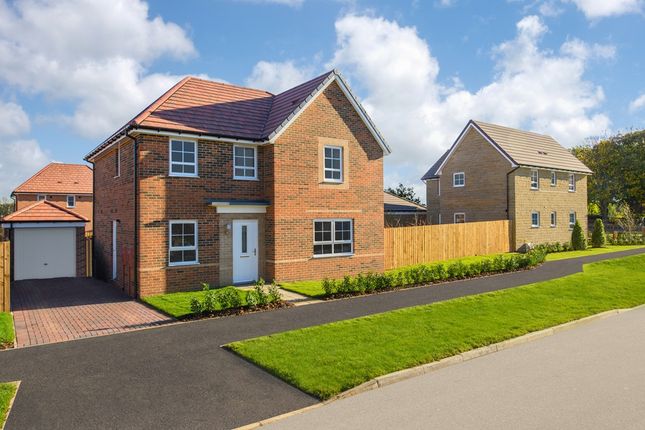 Thumbnail Detached house for sale in "Radleigh" at Smiths Close, Morpeth