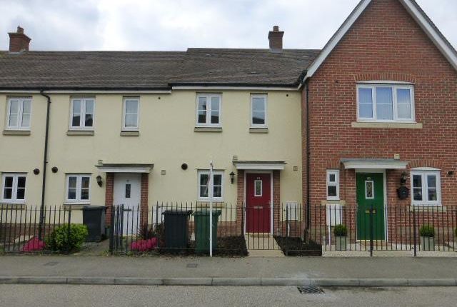 Thumbnail Property to rent in Holst Avenue, Witham