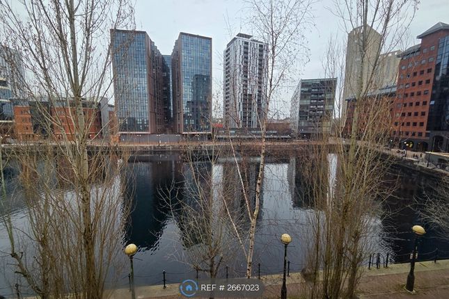 View From Juliet Door