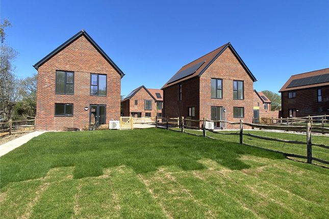 Plot 11 &amp; 12