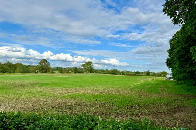 Thumbnail Land for sale in Spetisbury, Blandford Forum
