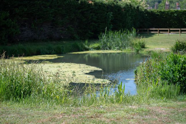 Millbrook Trout Farm-7.Jpg