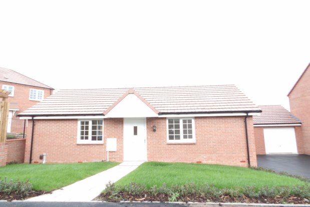 Thumbnail Bungalow to rent in Linnet Drive, Mansfield