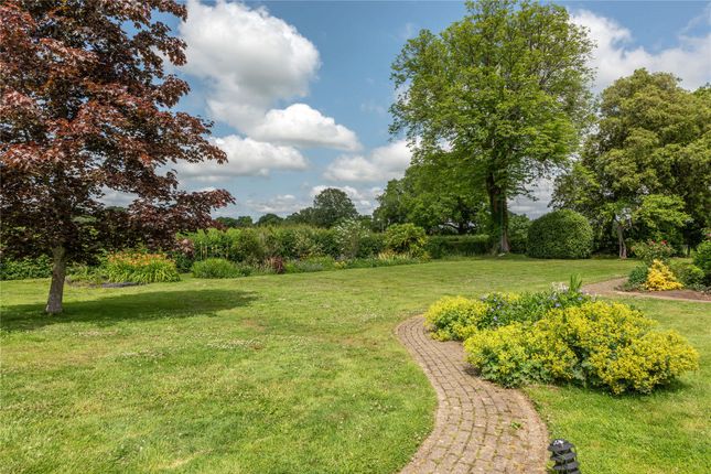 Oakfield House,, Cudworth Lane, Dorking photo 3