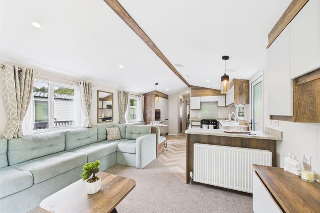 Willerby Brookwood, Drimsynie Holiday Village, Lochgoilhead photo 4