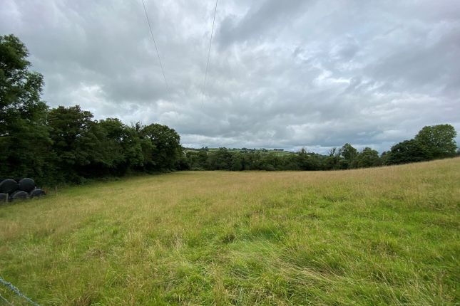 Land for sale in Cribyn, Lampeter