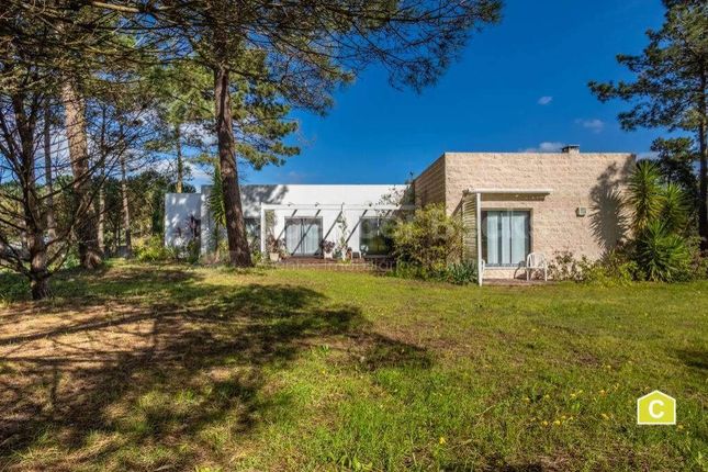 Thumbnail Detached house for sale in Caldas Da Rainha, Leiria, Portugal