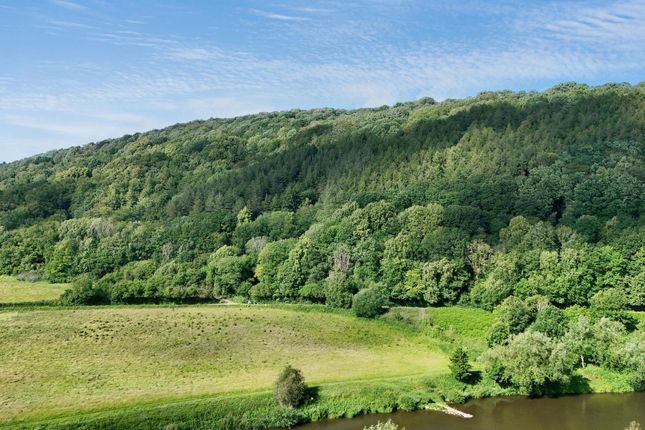 Monmouth photo 4