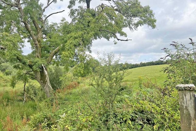 Croft Farm Cottages, Luxulyan, Bodmin photo 3