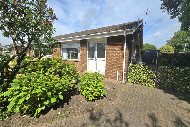 Semi-detached bungalow to rent in Rowan Road, Eaglescliffe, Stockton-On-Tees