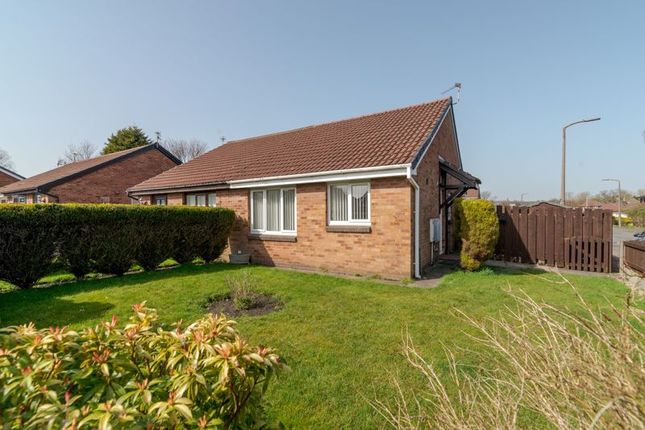 Semi-detached bungalow to rent in Exeter Avenue, Radcliffe, Manchester