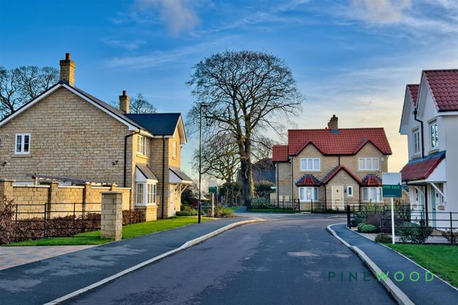 20b Settlement Drive, Chesterfield photo 2