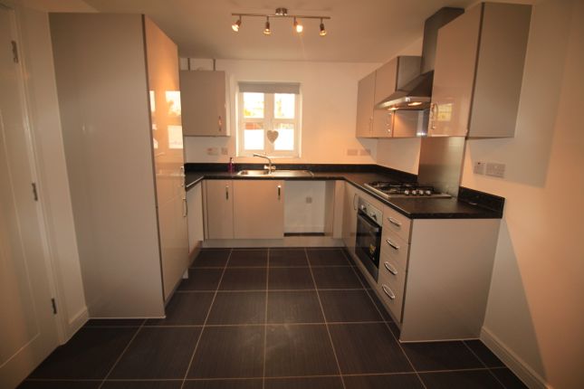 28, Nottingham photo 3