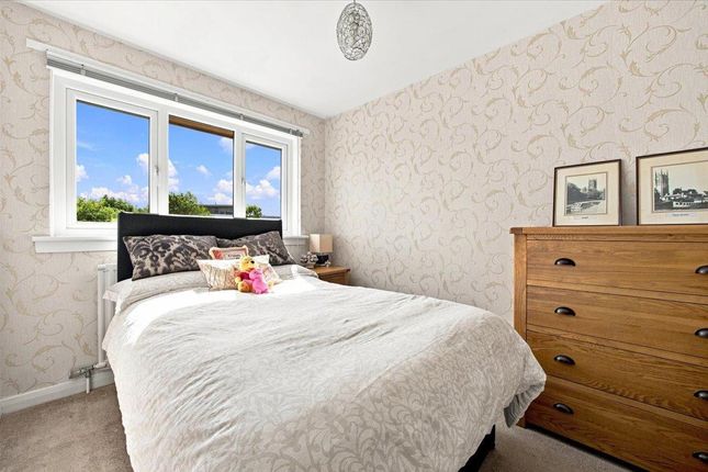Briar Road, Glasgow photo 4