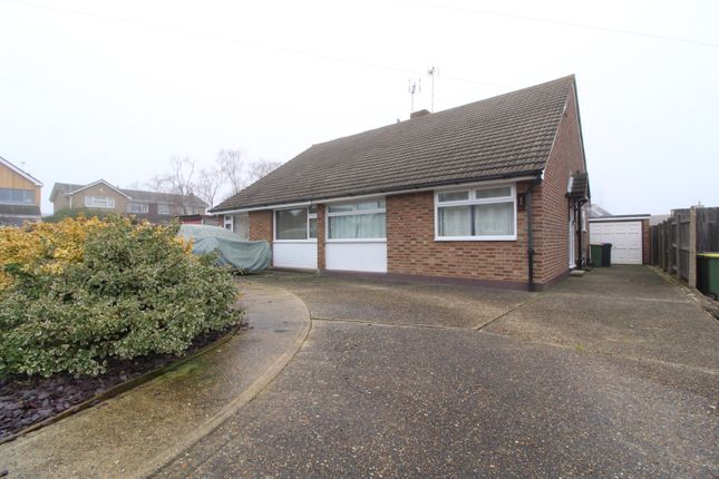 3 bed semi-detached bungalow to rent in Exmouth Drive, Rayleigh, Essex SS6