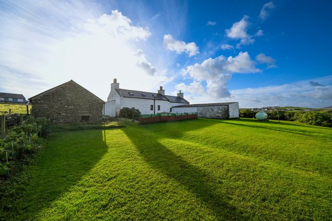 Shetland photo 2
