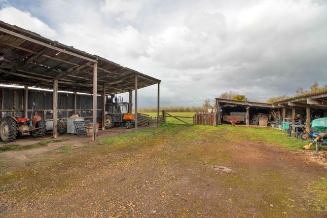 Farm for sale in Poot Lane, Upchurch, Sittingbourne