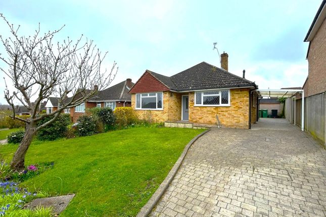 Detached bungalow to rent in Orchard Close, Normandy