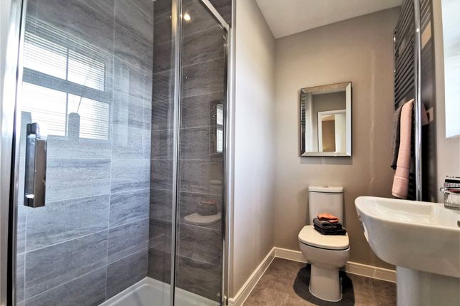 Show Home