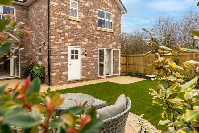 Plot 1, The Modbury, The Grange,, 3, Lacey Avenue, Bideford photo 3