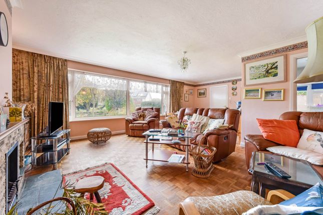 26, The Wad, Chichester photo 2