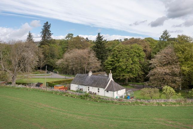 Thumbnail Cottage for sale in Glenogil, Forfar, Angus