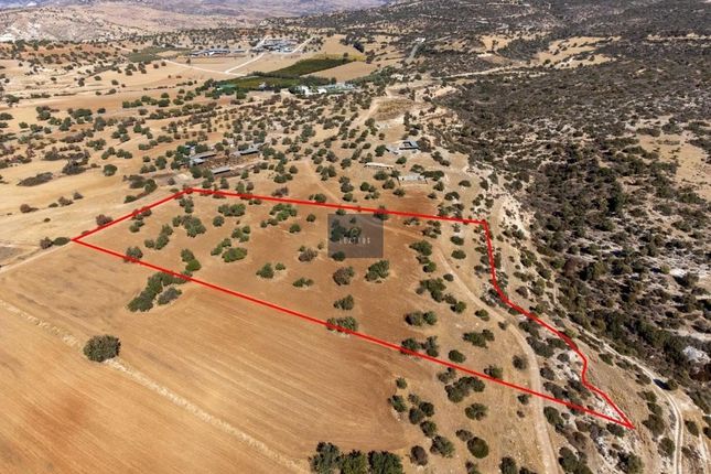 Land for sale in Kouklia, Cyprus